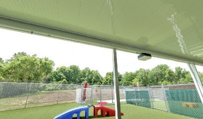 Dog day care in Durham North Carolina GoDog Durham 1