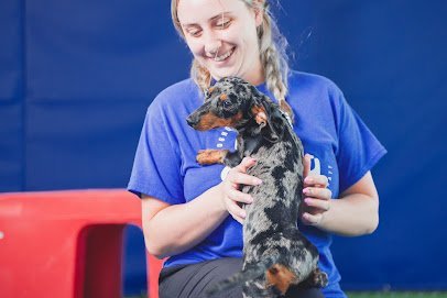 Dog day care in Durham North Carolina GoDog Research Triangle Park RTP 1