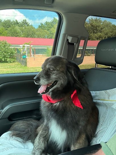 Dog day care in East Bridgewater Massachusetts Secret Garden Pet Resort 1