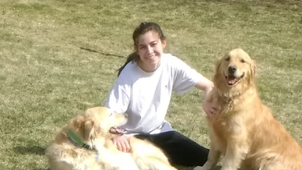 Dog day care in East Longmeadow Massachusetts Porter Road Pet Care Inc  1