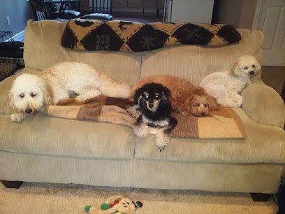 Dog day care in East Peoria Illinois Lil Doggy Day Care 1