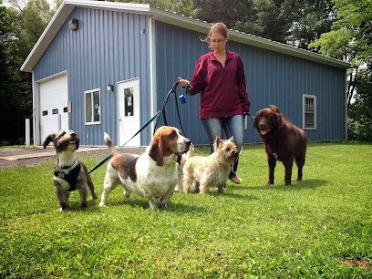Dog day care in Eaton New York Paws Please Dog Training 1