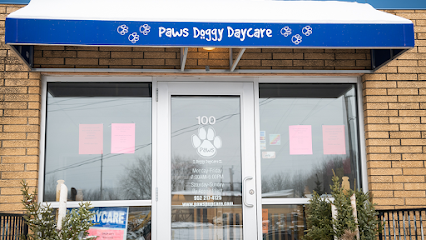Dog day care in Eden Prairie Minnesota Paws Doggy Daycare 1