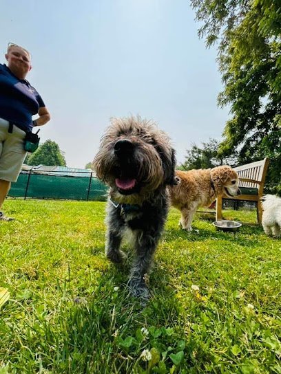 Dog day care in Edgewater Maryland Beechnut Kennels 1