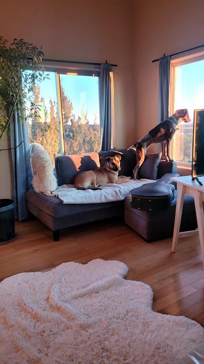 Dog day care in Edgewood New Mexico cozydaysdogboarding 1