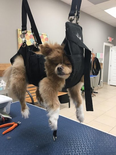 Dog day care in Edinburg Texas High Happy Pet Resort 1