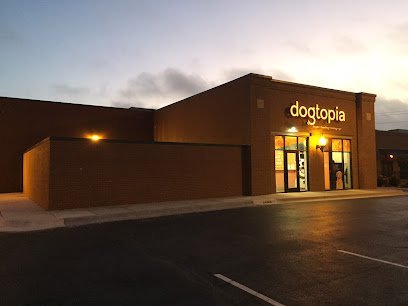 Dog day care in Edmond Oklahoma Dogtopia of Edmond 1