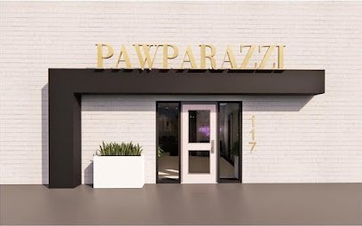 Dog day care in Edmond Oklahoma Pawparazzi K9 Enrichment Resort 1