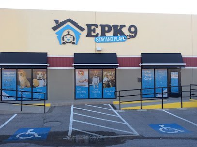 Dog day care in El Paso Texas EPK9 Stay and Play 1
