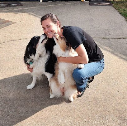 Dog day care in Elberton Georgia The Ritz Pawton