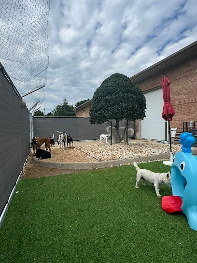 Dog day care in Elizabeth City North Carolina Colonial Canine LLC Elizabeth City 1