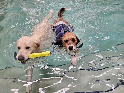 Dog day care in Elkhart Indiana Sport Dogs Complex 1