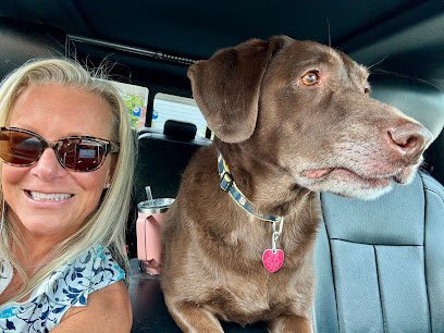 Dog day care in Elkton Maryland Timberview Kennels 1