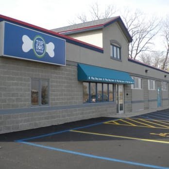 Dog day care in Elmhurst Illinois Top Dog Retreat 1