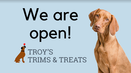 Dog day care in Englewood New Jersey Troy s Trims and Treats 1