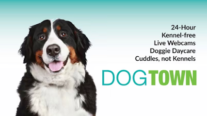 Dog day care in Erlanger Kentucky Dogtown Northern Kentucky Erlanger 1