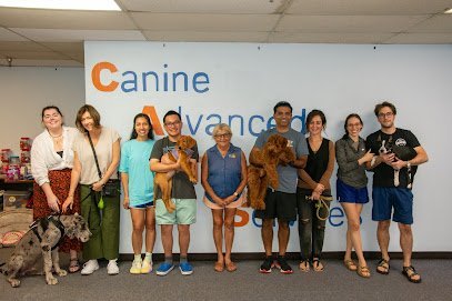Dog day care in Euless Texas Canine Advanced Training Services 1