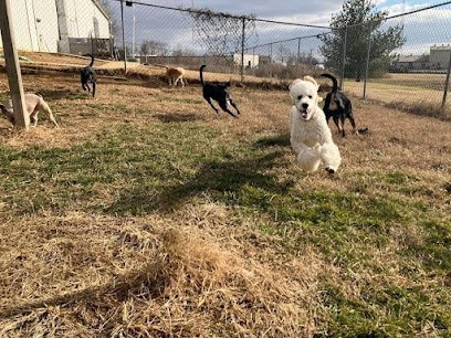 Dog day care in Evansville Indiana The Pups Palace 1