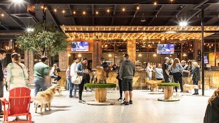 Dog day care in Everett Massachusetts Park 9 Dog Bar 1