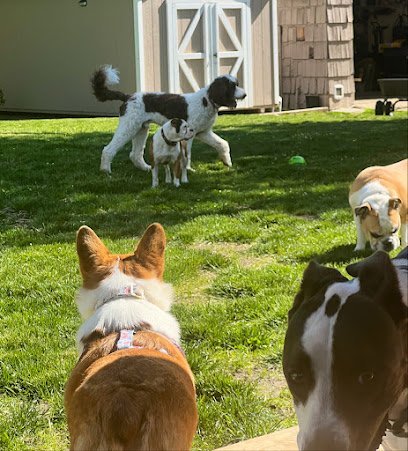 Dog day care in Ewing Township New Jersey Mai s Bed Biscuits 1