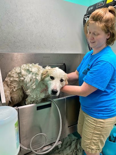 Dog day care in Excelsior Springs Missouri K 9 Clips Stay and Play 1