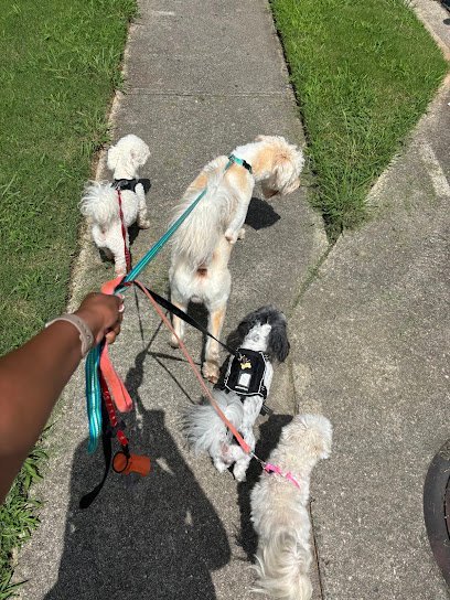 Dog day care in Fairburn Georgia Classy Concierge LLC