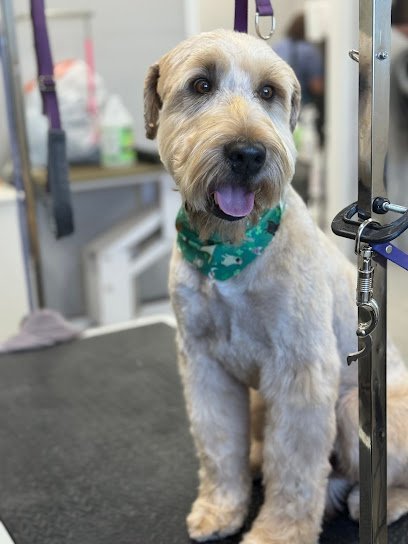 Dog day care in Fairfax Iowa Heartland Kennels LLC 1