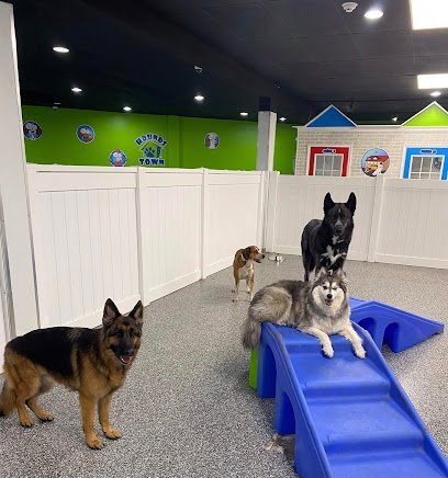 Dog day care in Fairfield New Jersey Hounds Town Fairfield 1