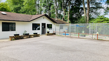 Dog day care in Fairview North Carolina Fairview Boarding 1
