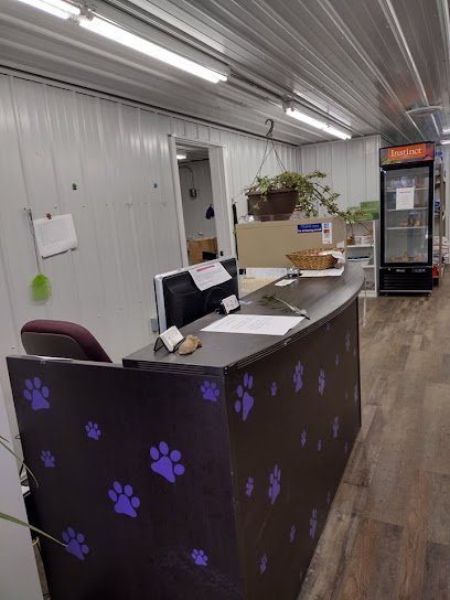 Dog day care in Fargo North Dakota CJ s Purple Paw LLC Pet Daycare and Boarding 1