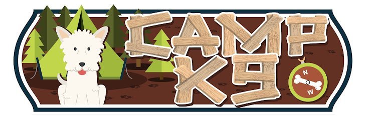 Dog day care in Fargo North Dakota Camp K9 1