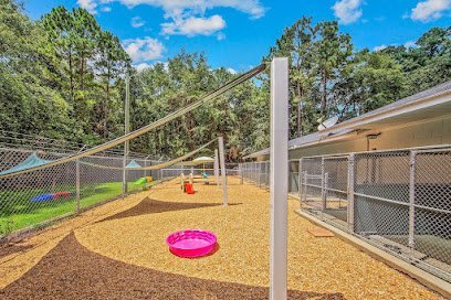 Dog day care in Fayetteville North Carolina The Fayetteville Pet Resort 1