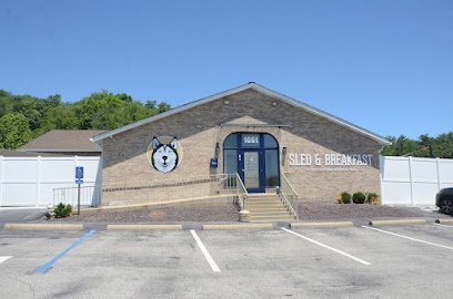 Dog day care in Fenton Missouri Sled Breakfast Dog Daycare Boarding Training Grooming 1 1