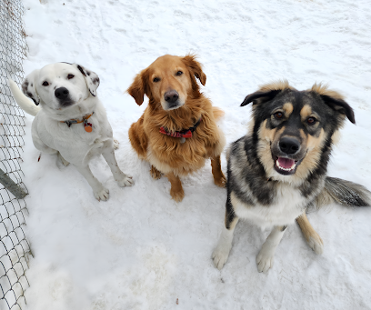 Dog day care in Fergus Falls Minnesota Soapy Puppy s Bed Biscuit LLC 1