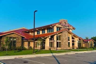 Dog day care in Fishers Indiana 4 Paws Lodge 1