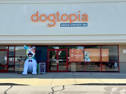 Dog day care in Fishers Indiana Dogtopia of Fishers 1