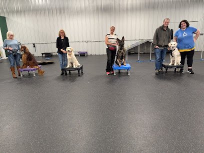 Dog day care in Fishers Indiana Paws Play Dog Resort Training Center 1