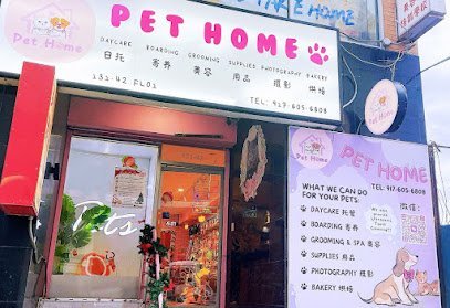 Dog day care in Flushing New York Pet Home 萌宠之家 1