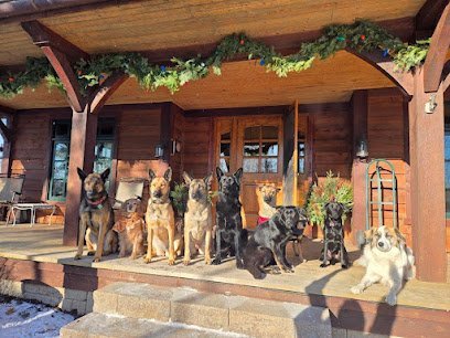 Dog day care in Foley Minnesota Sapphire Canine 1