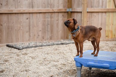 Dog day care in Forest Park Illinois Dog Den Chicago 1