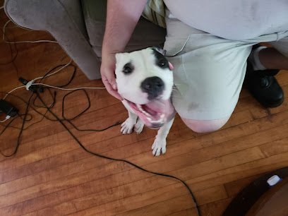 Dog day care in Fort Wayne Indiana Critter Sitters Emery Merriman 1