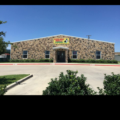 Dog day care in Fort Worth Texas Dogs Rule Resort 1