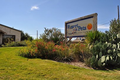 Dog day care in Fort Worth Texas Resort For Pets at Eagle Mountain Lake 1