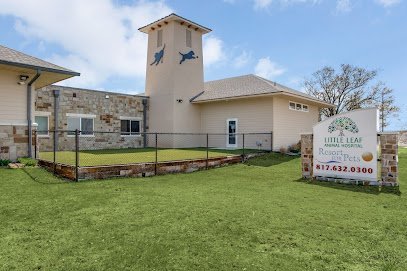 Dog day care in Fort Worth Texas Resort for Pets Haslet 1