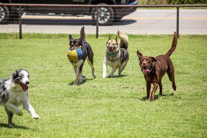 Dog day care in Fort Worth Texas Woof Pack Ranch 1