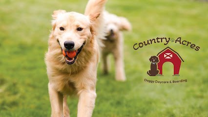 Dog day care in Fowlerville Michigan Country Acres 1