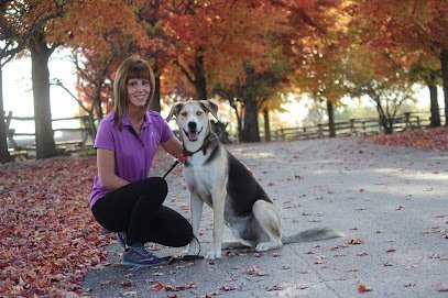 Dog day care in Frankfort Illinois Club K9 at the Ranch 1