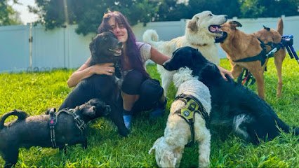 Dog day care in Frankfort Illinois The Mary Austgen Doggett House  Where Diggity Dogs Get Down 1