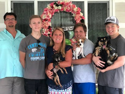 Dog day care in Franklin Tennessee Stacie s Pup Palace 1