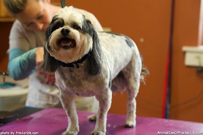 Dog day care in Frederick Maryland Animal Inn of Frederick 1